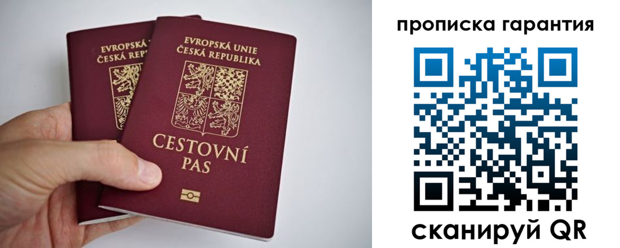прописка в Вельске
